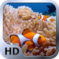 Sea Of Life HD / Kehidupan Laut HD