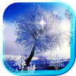 Pohon musim dingin HD wallpaper hidup
