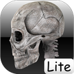 Tulang manusia Lite / tulang manusia lite