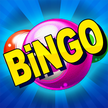 Bingo Kasino