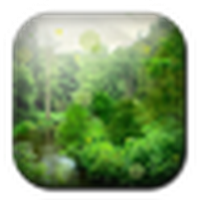 HD hutan 3D Hidup Wallpaper