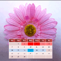 Kalender menstruasi saya untuk tahun ini