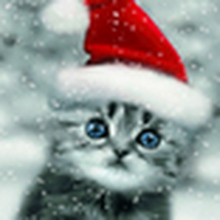 Kucing Natal