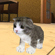 Kucing kucing Simulator 3D