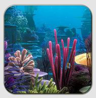 Oceanic Aquarium