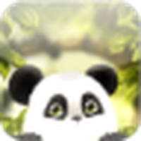 Wallpaper hidup Panda gratis / Panda Chub LWP
