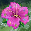 Flower Clock Live Wallpaper / Bunga Jam Hidup Wallpaper