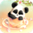 Wallpaper Panda Mengantuk