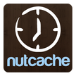 Nutcache Time Logger