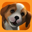 PS Vita hewan peliharaan: anjing Anda