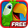 Talking parrot Pierre / berbicara Pierre burung beo gratis